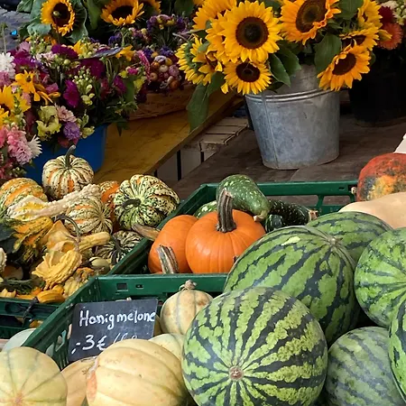 City Hotel Freiburg Hotel 4*