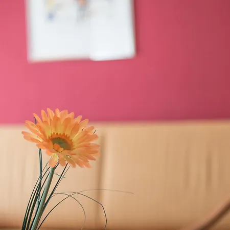 City Hotel Freiburg 4*