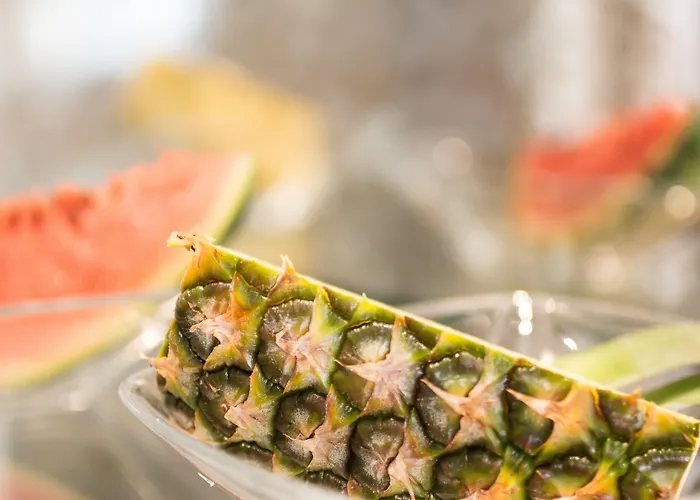 City Hotel Freiburg Hotel Freiburg im Breisgau