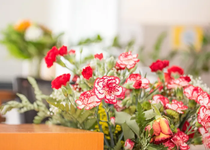 City Hotel Freiburg Hotel 4*