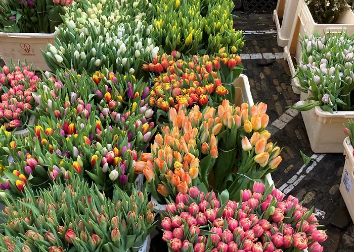 Hotel City Hotel Freiburg