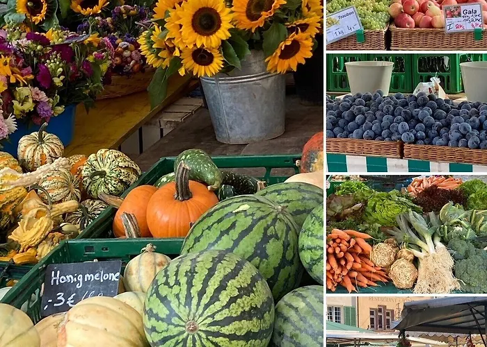 Hotel City Hotel Freiburg 4*