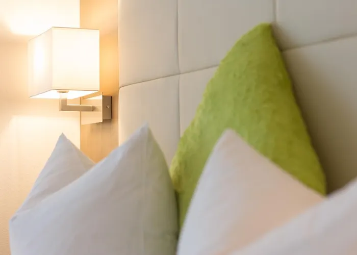 City Hotel Freiburg Hotel 4*